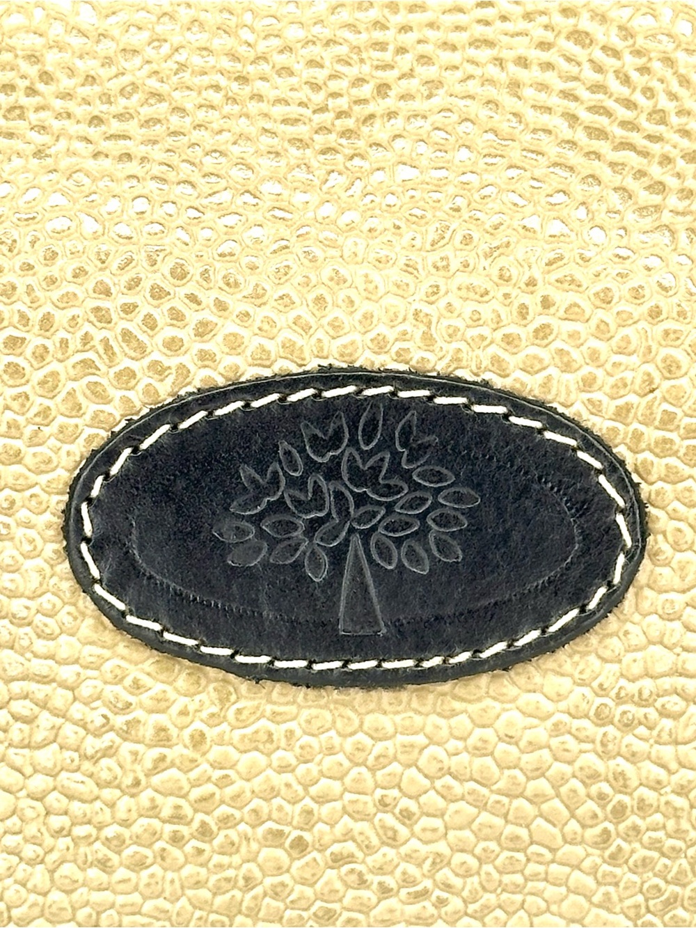 Mulberry Canvas and Leather Women's Zip Pouch